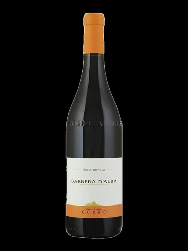 Barbera d'Alba Bricco dei Merli, Elvio Cogno