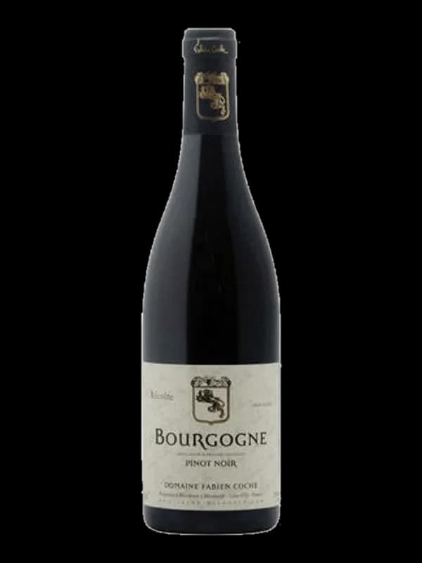 Bourgogne Cote d'Or, Pinot Noir, Domaine Coche-Bizouard