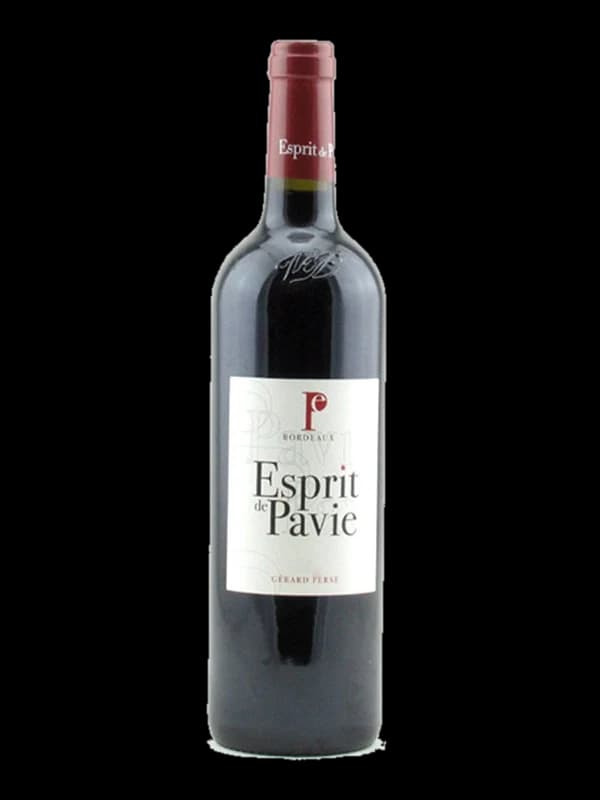 Esprit de Pavie
