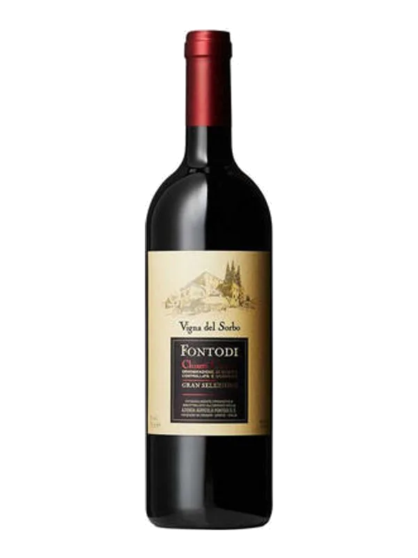 Chianti Classico Vigna del Sorbo Gran Selezione