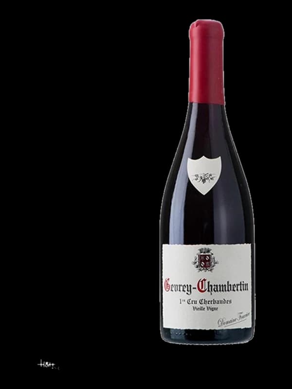 Gevrey-Chambertin En Pallud