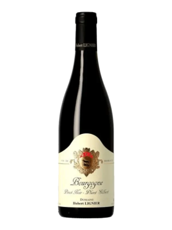 Hubert Lignier Bourgogne Plant Gilbert