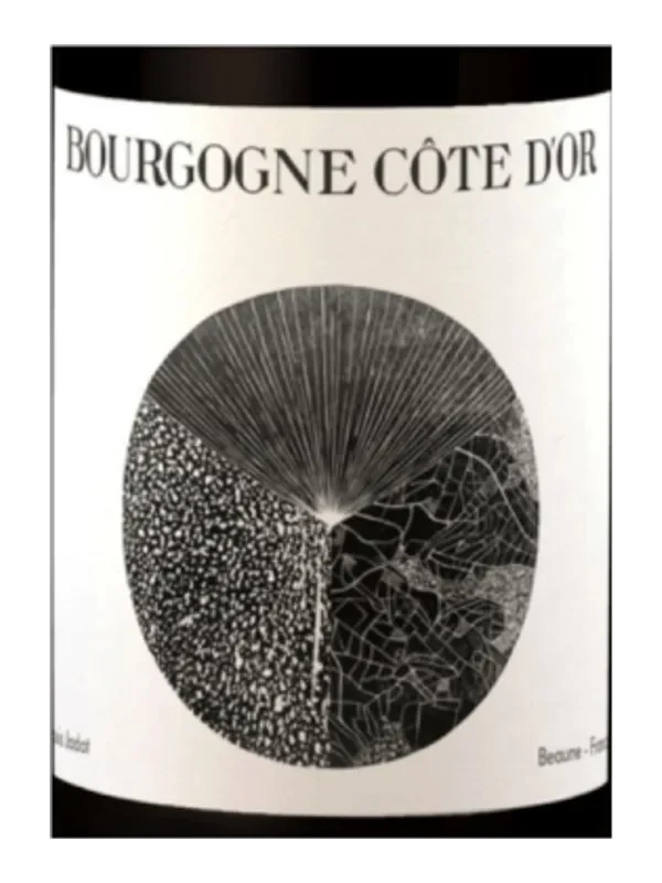 Louis Jadot Bourgogne Cote d'Or